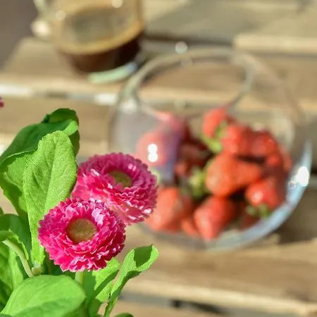 アパート Peric 1 Meka Draga *