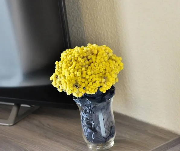 Peric 1 Meka Draga Obrovac