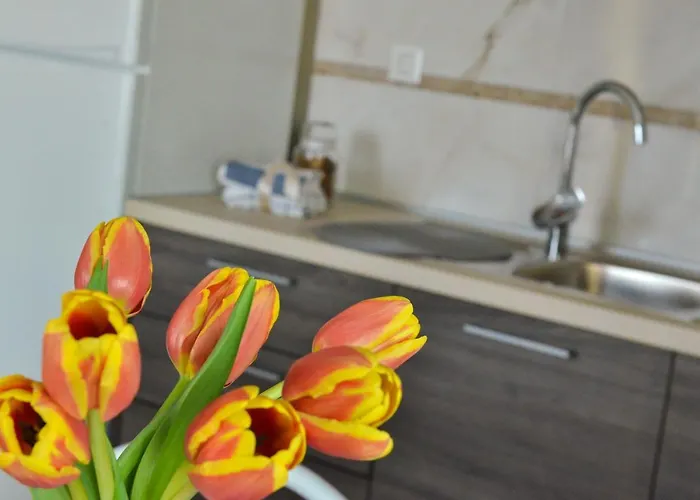 Peric 1 Meka Draga 오브로박