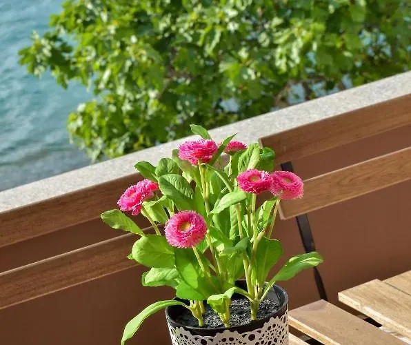 Peric 1 Meka Draga Apartman